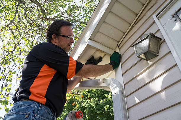 Best Carpet Removal and Disposal  in Biggs, CA
